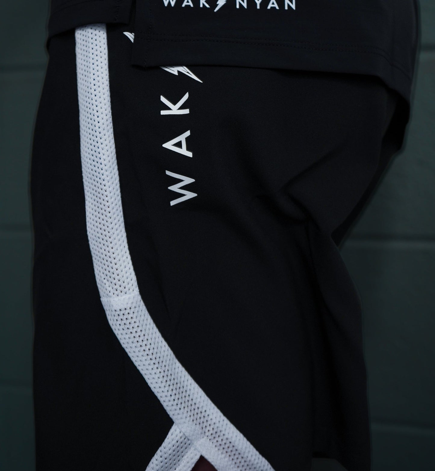 Men's Primary Wakinyan Shorts