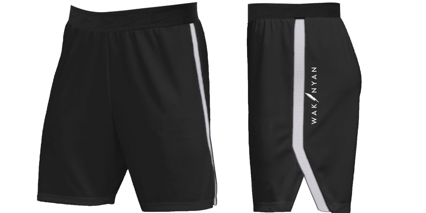 Men's Primary Wakinyan Shorts