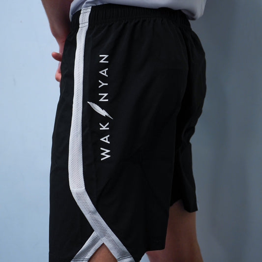 Men's Primary Wakinyan Shorts